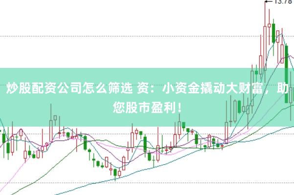 炒股配资公司怎么筛选 资：小资金撬动大财富，助您股市盈利！