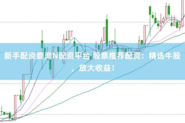 新手配资要询N配资平台 股票推荐配资：精选牛股，放大收益！