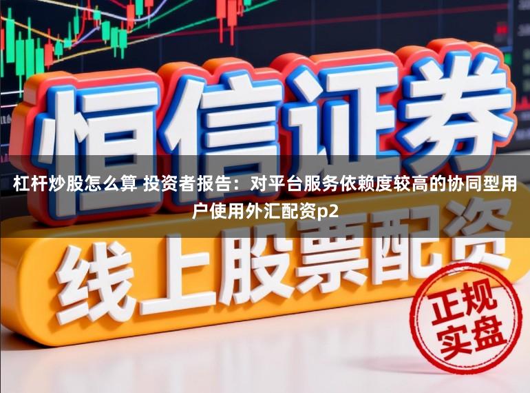 杠杆炒股怎么算 投资者报告：对平台服务依赖度较高的协同型用户使用外汇配资p2