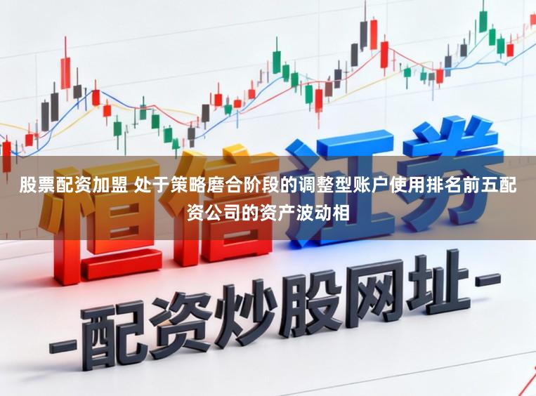 股票配资加盟 处于策略磨合阶段的调整型账户使用排名前五配资公司的资产波动相