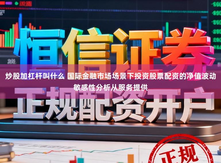 炒股加杠杆叫什么 国际金融市场场景下投资股票配资的净值波动敏感性分析从服务提供