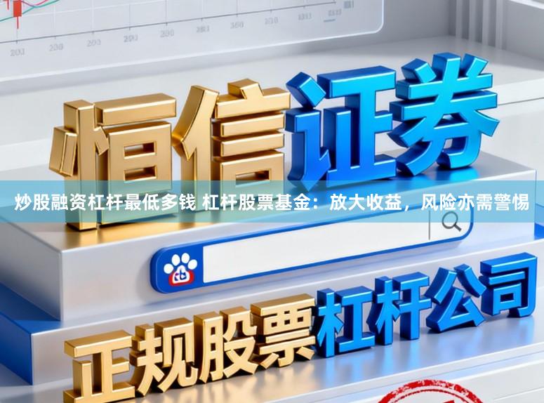炒股融资杠杆最低多钱 杠杆股票基金：放大收益，风险亦需警惕
